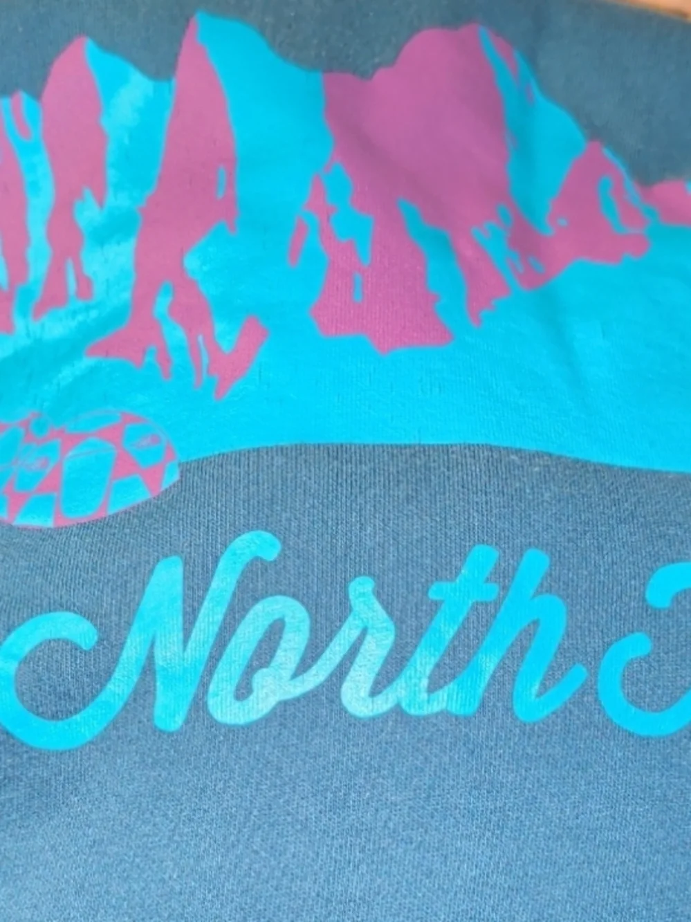 The North Face Blue Pullover Hoodie Men's Size L with Used Good